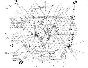 Gallery of projective tuning space images - Xenharmonic Wiki